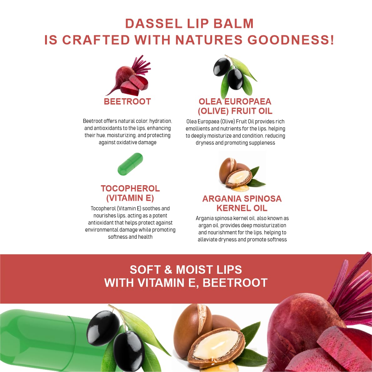 Dassel Beetroot Lip Balm 10g - Natural Moisturizing Lip Care for Dry & Chapped Lips - Vegan, Cruelty-Free - Perfect for Winter, Travel & Daily Hydration