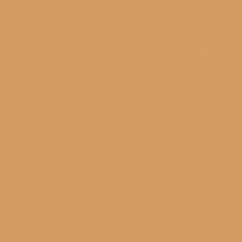 #19 Camel - Oxide