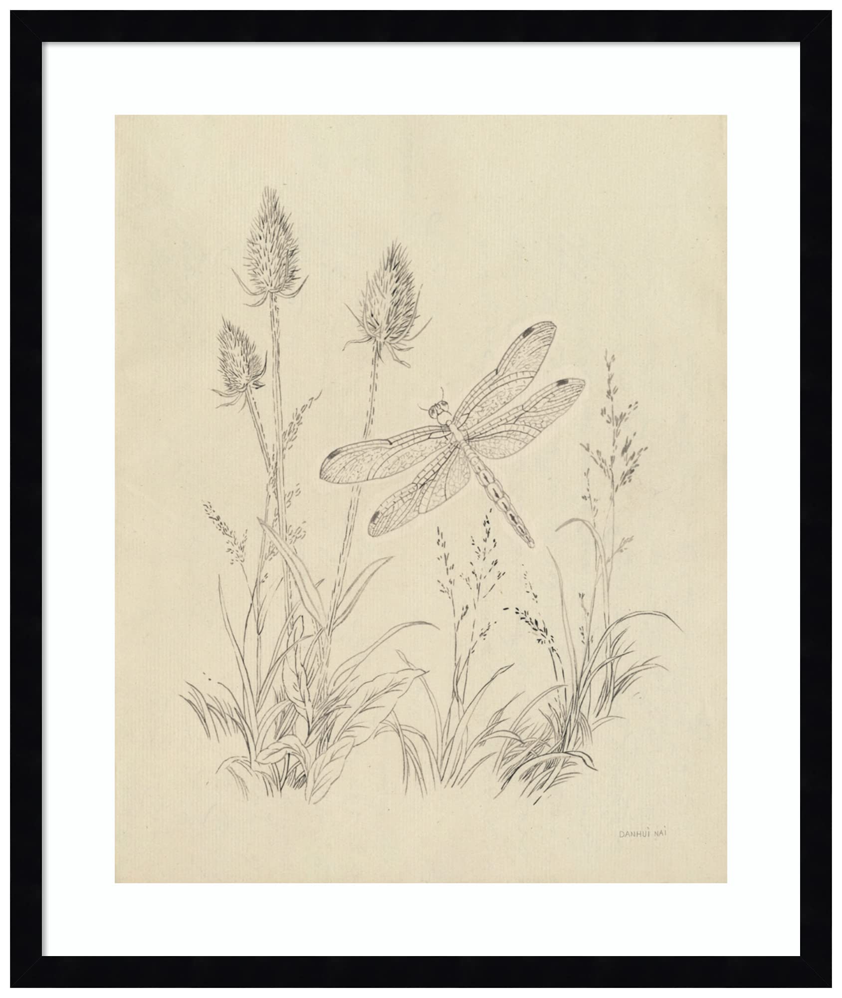 Amanti Art Framed Wall Art Print 25x21 - Vintage Nature Sketchbook IV by Danhui Nai | Animal Wall Decor | Vintage Style Painting for Living Room, Bedroom, Office | Perfect for Home & Office Decoration