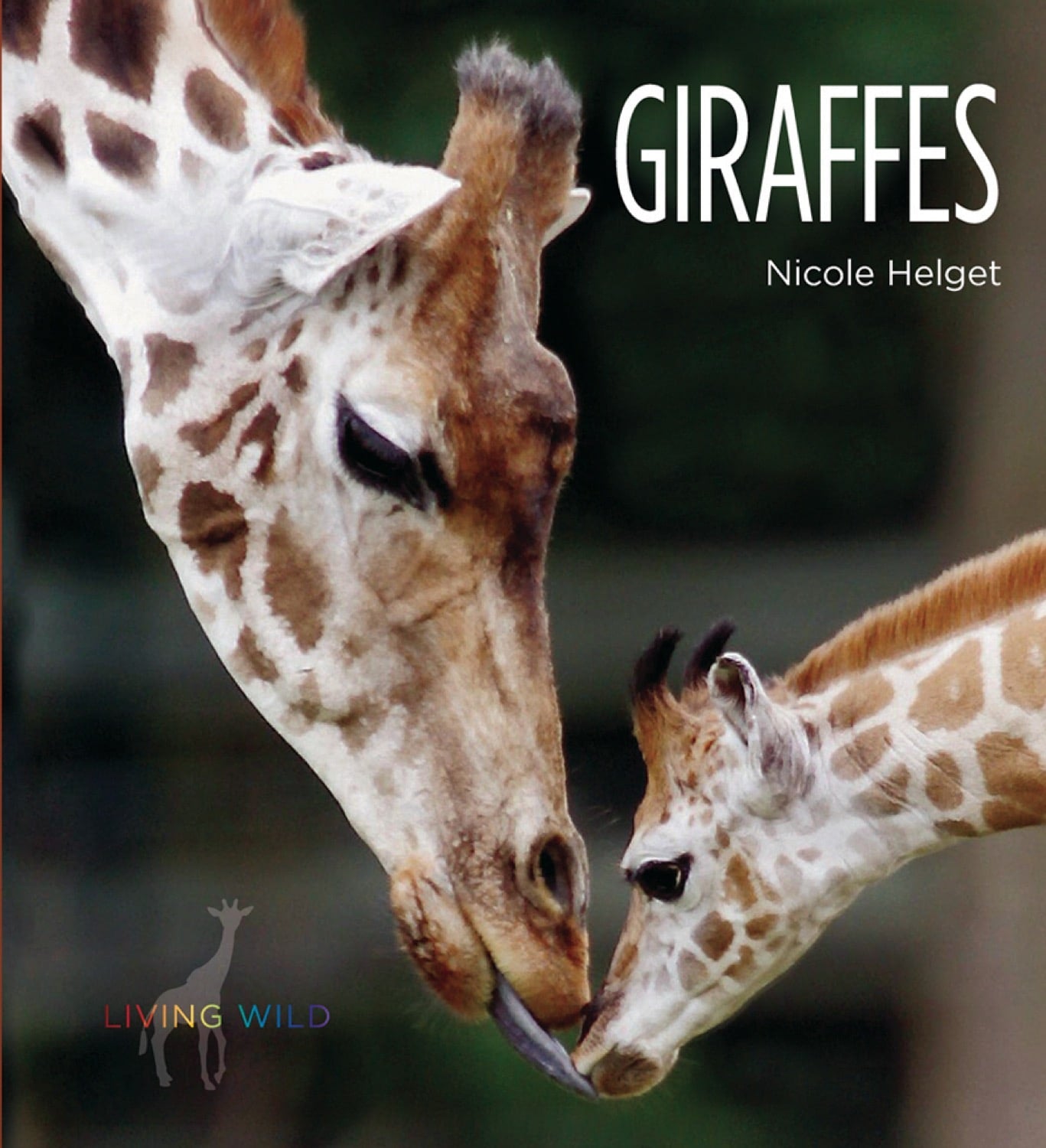 Giraffes Book - ISBN 9781583416549 - Educational Wildlife Reading for Kids & Animal Lovers