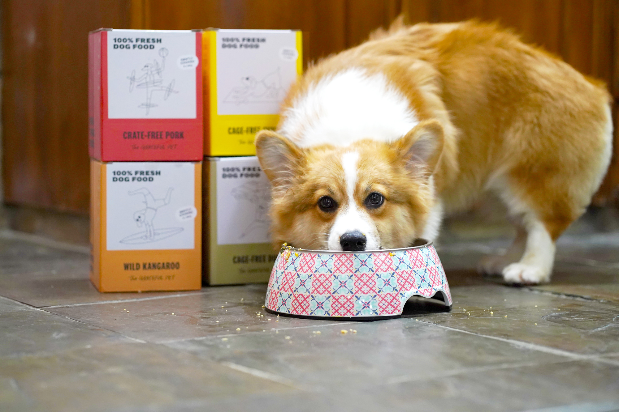 Premium Cage-Free Duck Cooked Dog Food - Healthy & Nutritious Meal for Small & Large Breeds - Perfect for Daily Feeding & Special Occasions