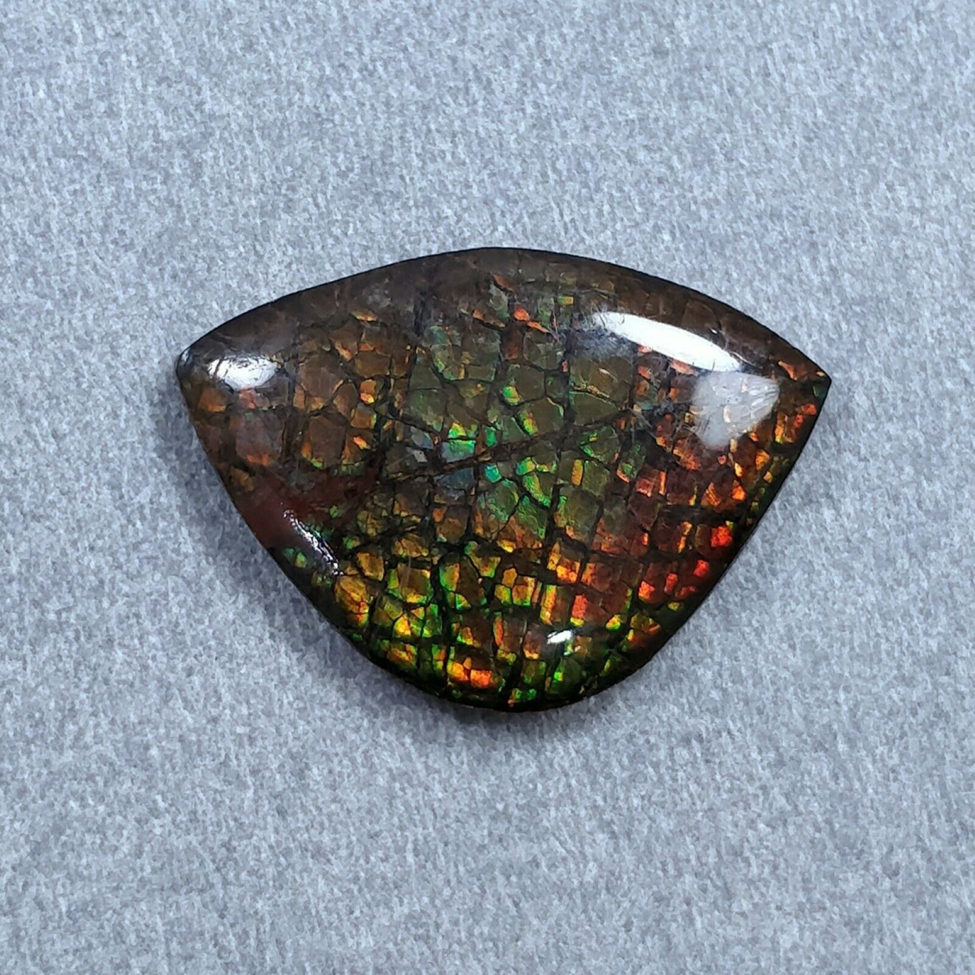 Natural AMMOLITE Gemstone Cabochon - Bi-Color Fossilized Shell, 17.5x25mm & 22x16mm Uneven Shape for Jewelry Making, Collectors & Healing Crystals