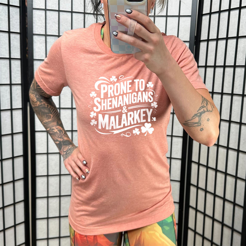 Funny Unisex T-Shirt - Prone To Shenanigans & Malarkey Design - Perfect for Casual Wear, Gifts & Humorous Occasions