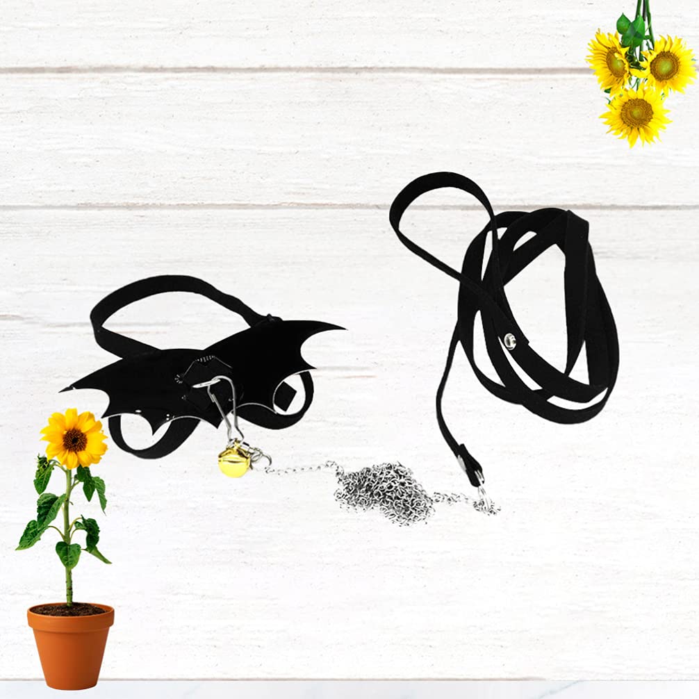 Turtle Leash with Comfortable Wing Harness - Adjustable Reptile Leash for Tortoise, Iguana & Small Pets - Perfect for Outdoor Walks, Backyard Play & Safe Exploration