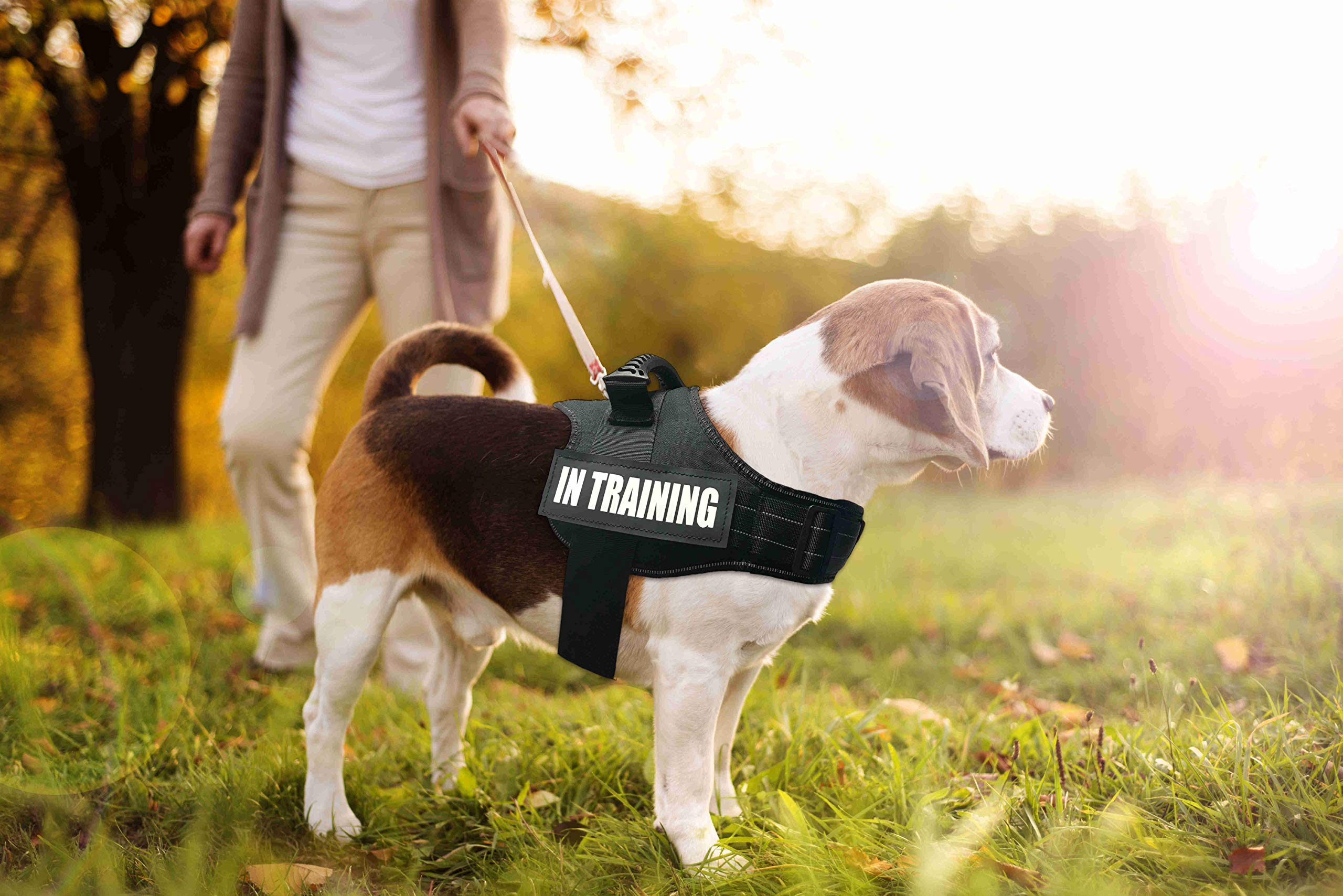 Dihapet Small Dog Harness - Reflective No Pull Adjustable Padded Soft Vest for Small Medium Large Dogs | Outdoor Walking Training & Night Safety | Black/XS