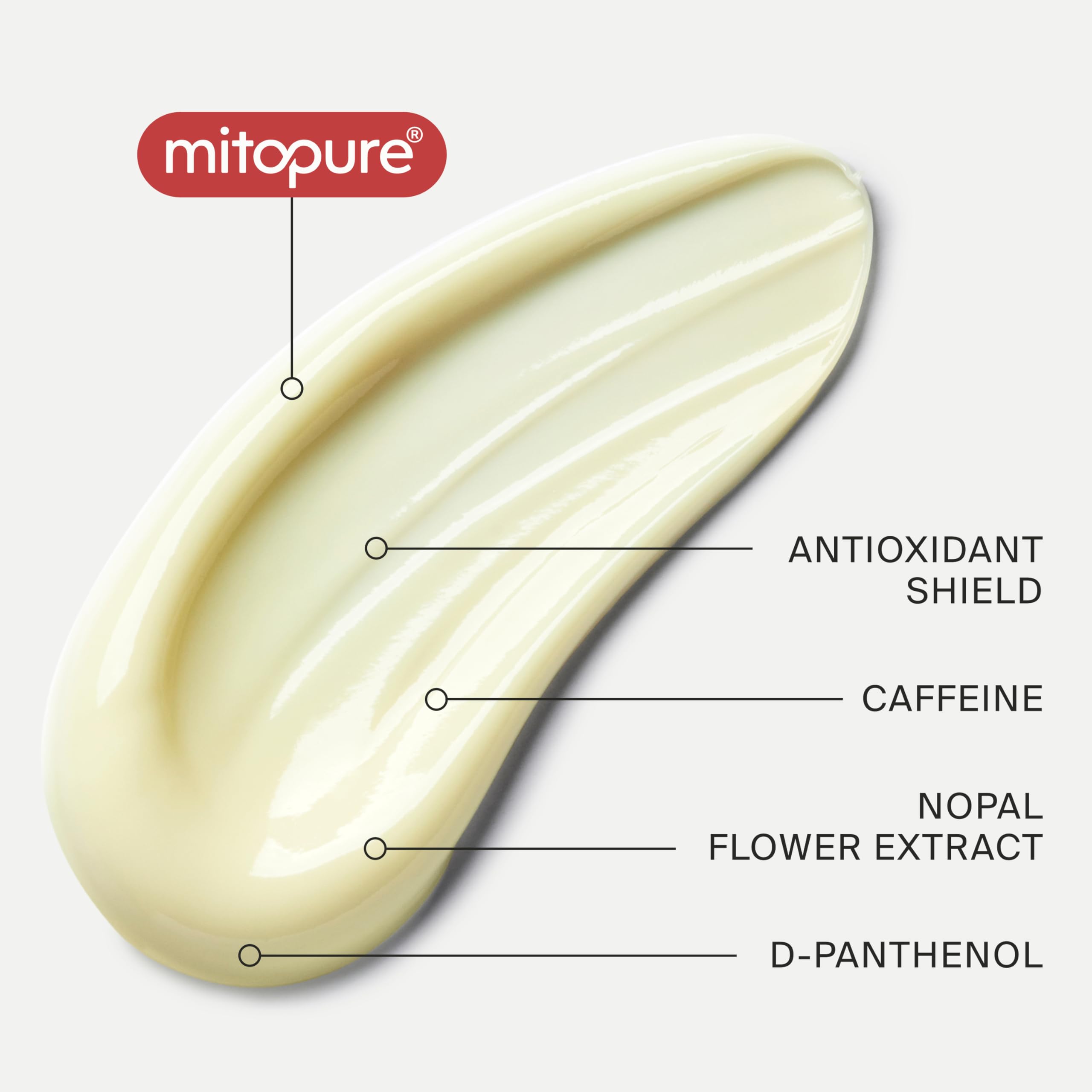 Mitopure (Urolithin A) Night Cream - Clinically Proven to Boost Hydration & Reduce Wrinkles | 1.69oz (50ml) | Overnight Skin Regeneration for Youthful Glow | Perfect for Nighttime Skincare Routine & Anti-Aging Regimen
