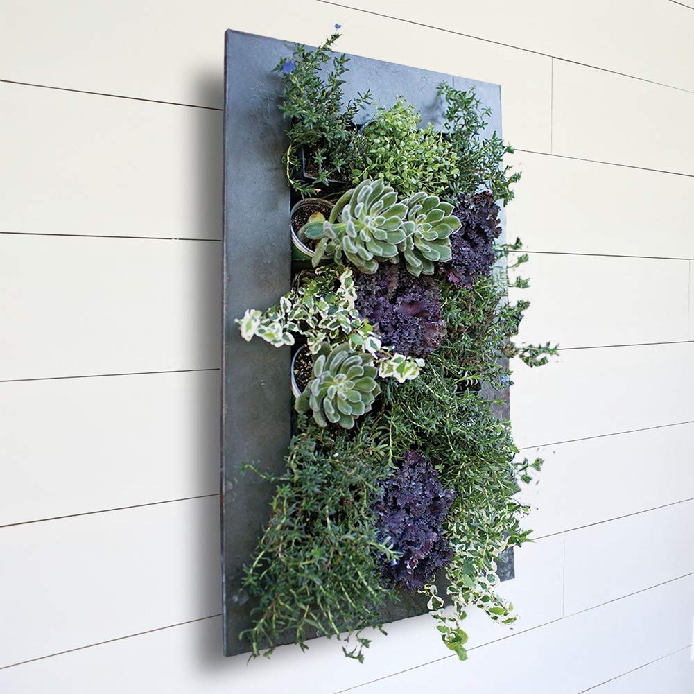 Modern Black Zinc 18-Pocket Succulent Planter - Galvanized Steel Wall Mounted Vertical Garden for Indoor/Outdoor Home Decor - Perfect for Small Plants, Herbs & Air Plants in Living Room, Balcony or Office