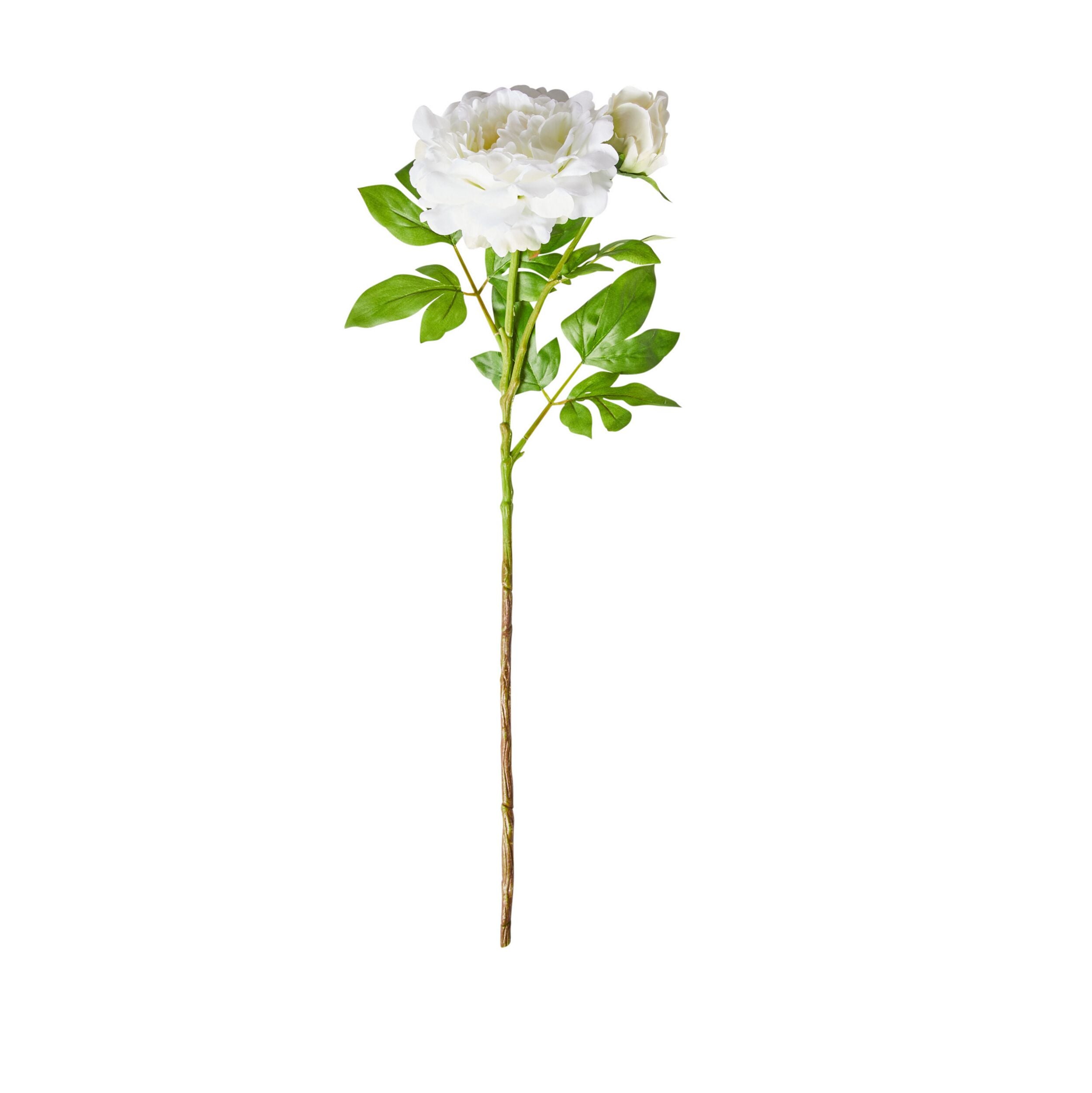 Acacia Peony White 74cm Artificial Silk Flower Bouquet for Wedding Centerpieces, Home Decor, and Party Arrangements