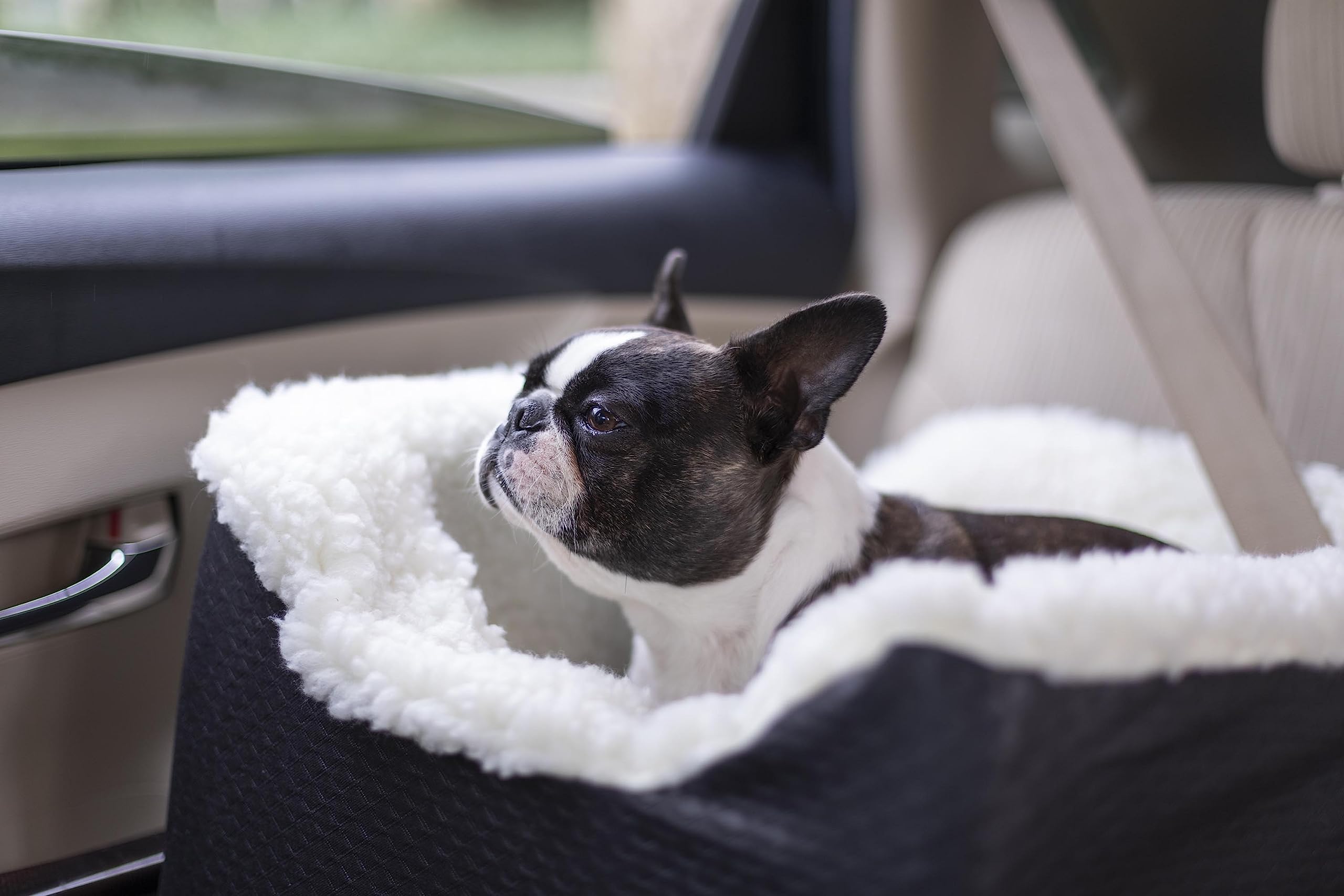 Snoozer Lookout Dog Booster Car Seat for Small Dogs 5-15 lbs - Black Diamond Fabric Pet Car Seat to Prevent Motion Sickness - Removable & Machine Washable Cover - Perfect for Road Trips & Vet Visits