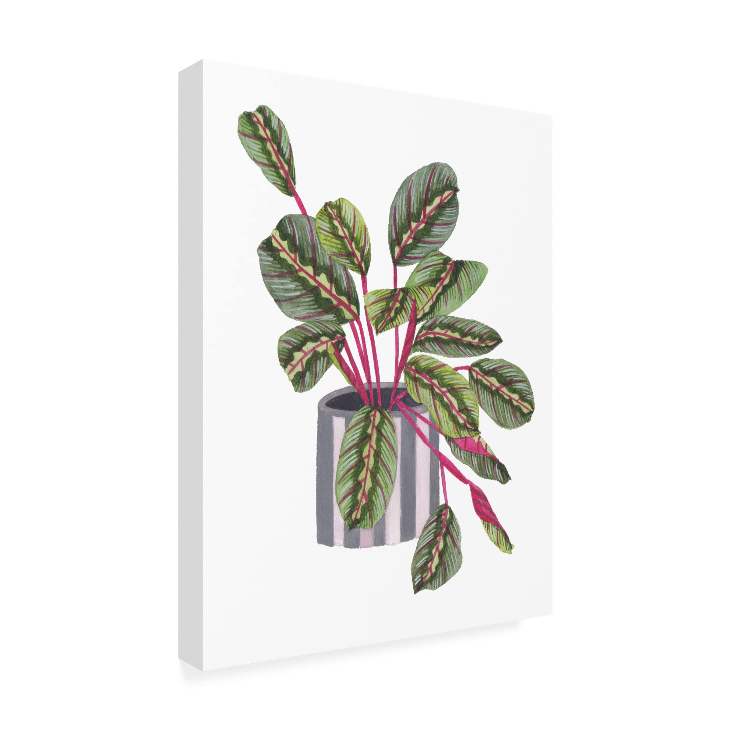 Trademark Fine Art 'Prayer Plant I' Canvas Wall Art by Melissa Wang - Botanical Home Decor for Living Room, Bedroom & Office