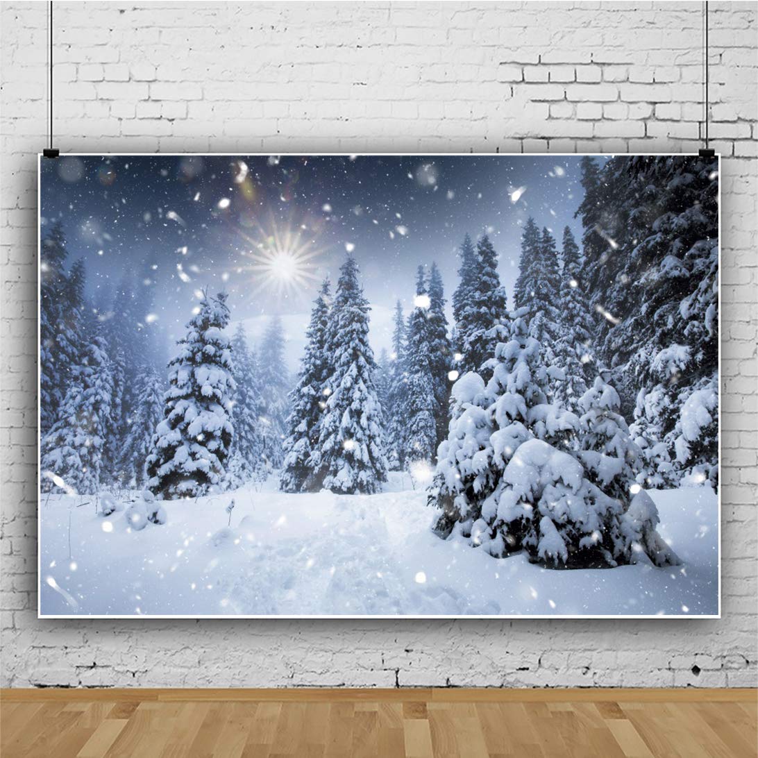 8x6ft Winter Backdrop with Falling Snowflakes & Glitter Dots - Frozen Wonderland Photography Background for Christmas, Xmas Eve Party, New Year Photo Booth & Studio Props | Perfect for Holiday Decorations, Family Portraits & Seasonal Events
