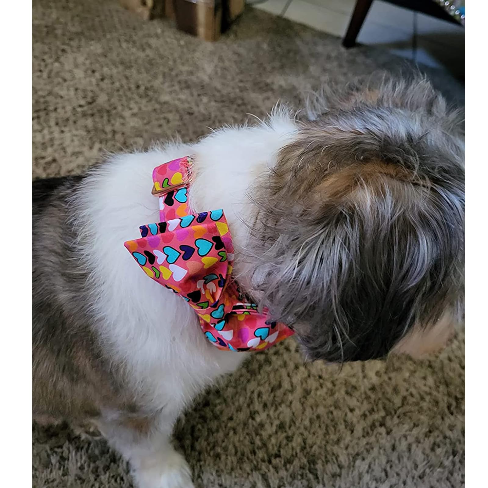Valentine's Day Dog Collar with Bow - Adjustable Pet Collar for Large Dogs | Perfect for Valentine's Gifts, Dog Parties & Special Occasions