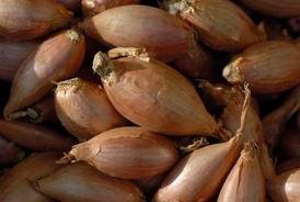 Fresh Shallots 40lbs Bulk - Premium Quality Cooking Onions for Restaurants, Catering & Home Chefs - Perfect for Soups, Sauces & Gourmet Dishes