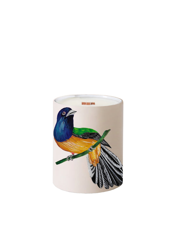 Bird and Olive Beige Scented Candle - Handmade Soy Wax Candle for Home Decor, Relaxation & Aromatherapy | Perfect for Living Room, Bedroom & Bathroom