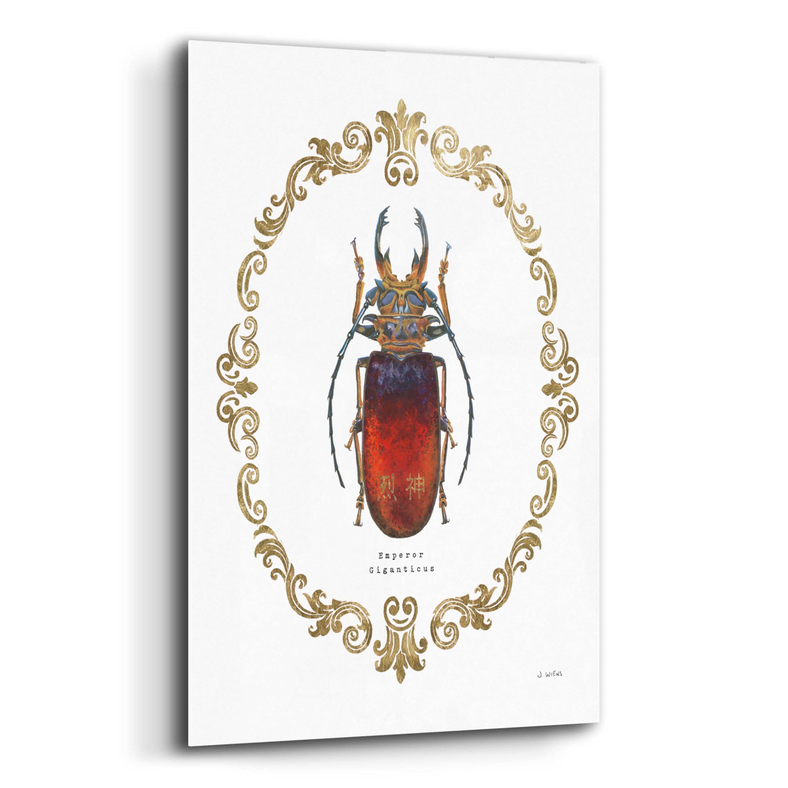 Adorning Coleoptera I by James Wiens - 16x24 Inch Acrylic Glass Wall Art Painting | Modern Home Decor for Living Room, Bedroom & Office