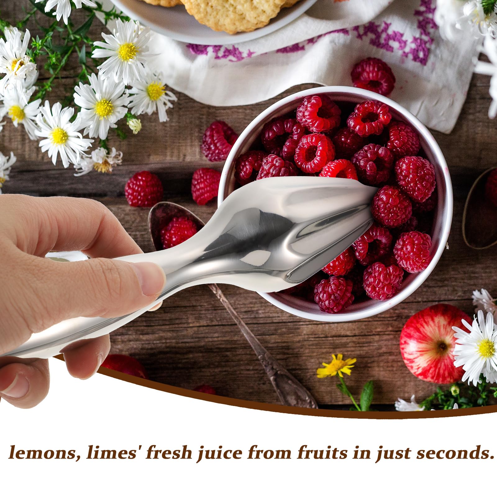 DOITOOL Stainless Steel Citrus Reamer - Manual Lemon Orange Lime Juicer with Beech Wood Handle - Easy Grip Kitchen Tool for Fresh Juice Extraction - Perfect for Home Bars, Cocktails & Healthy Drinks