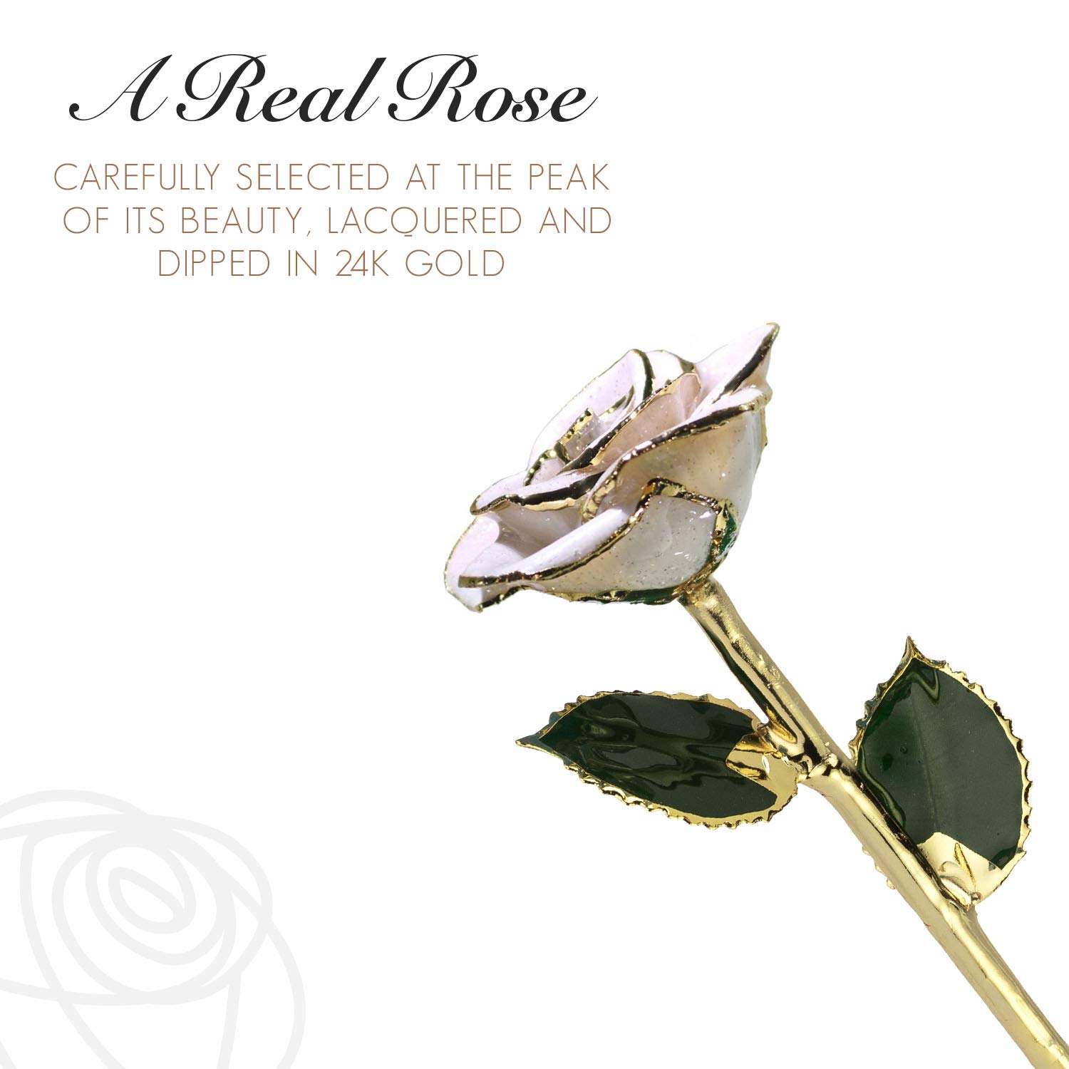 24K Gold Dipped Forever Rose - Real Frozen White Sparkle Genuine Rose Handcrafted with Lacquer | Unique Eternal Romantic Gift for Women & Men | Perfect for Anniversaries, Valentine's Day & Wedding Decorations
