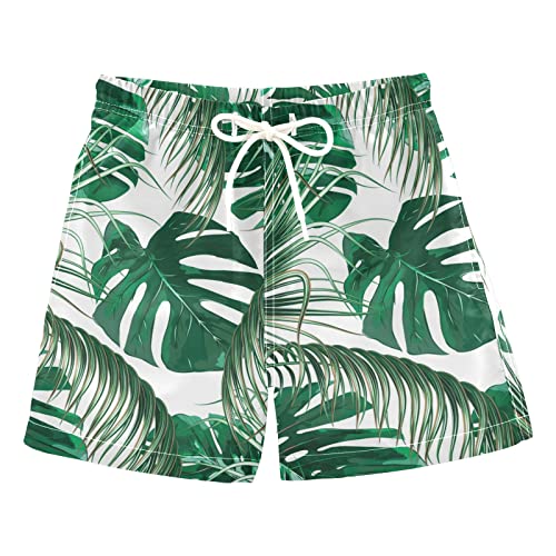 14-tropical
