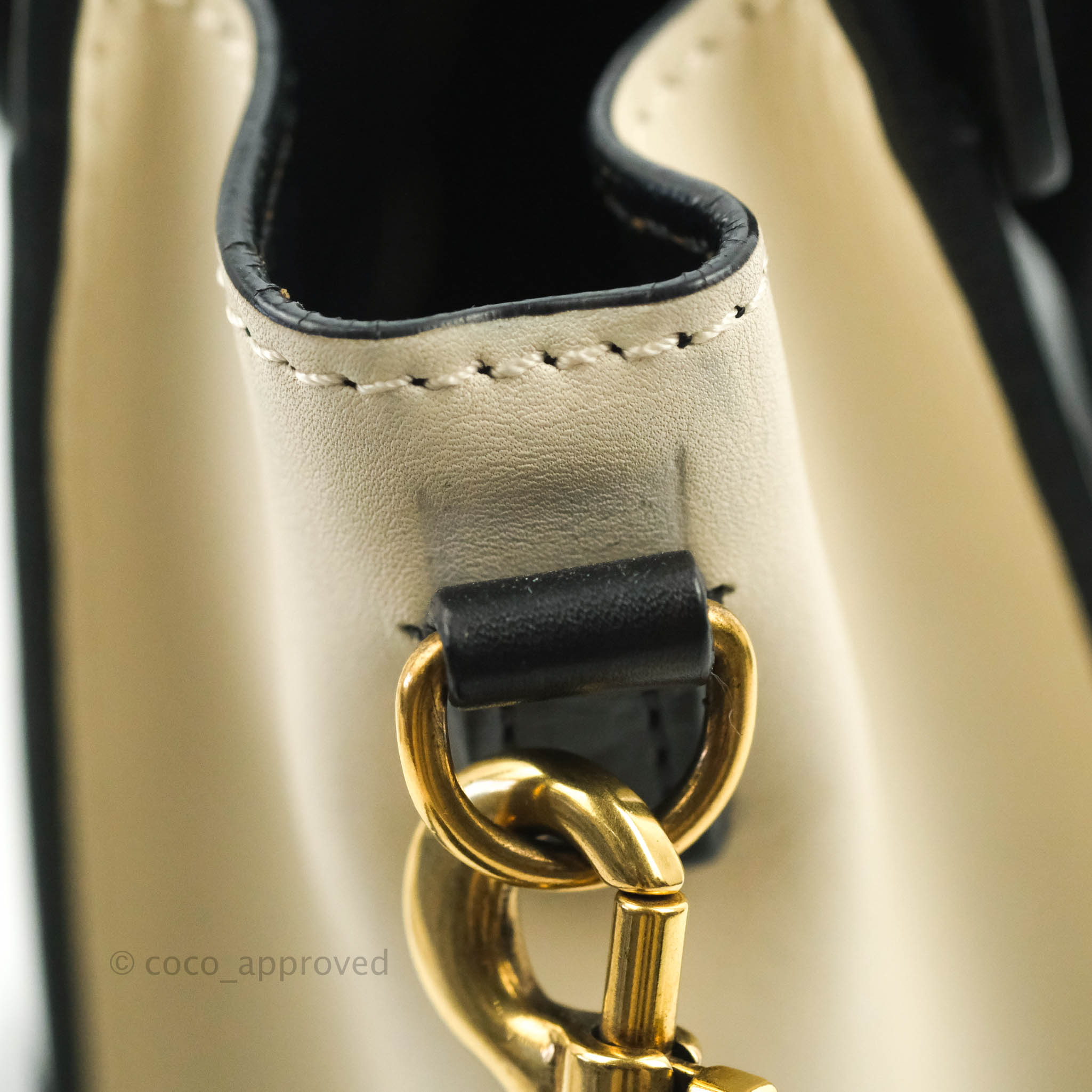 Celine Nano Luggage Bag in Grained Calfskin Leather with Gold Hardware - White, Black & Beige Colors | Perfect for Work, Travel & Everyday Use