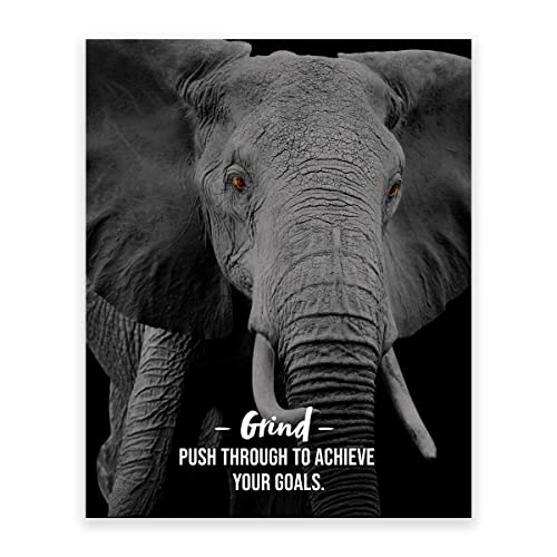 Motivational Wall Art Prints - Inspirational Office Decor Posters for Business & Home | Uplifting Animal & Quote Wall Decor for Office, Bedroom & Living Room