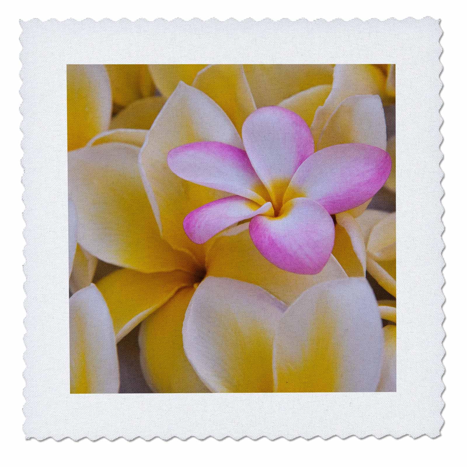 3D Rose USA Hawaii Oahu Plumeria Flowers Blooming Quilt - 10 x 10 Inch Decorative Throw Blanket for Bed, Sofa & Home Decor | Perfect for Beach House, Tropical Theme & Gift Giving