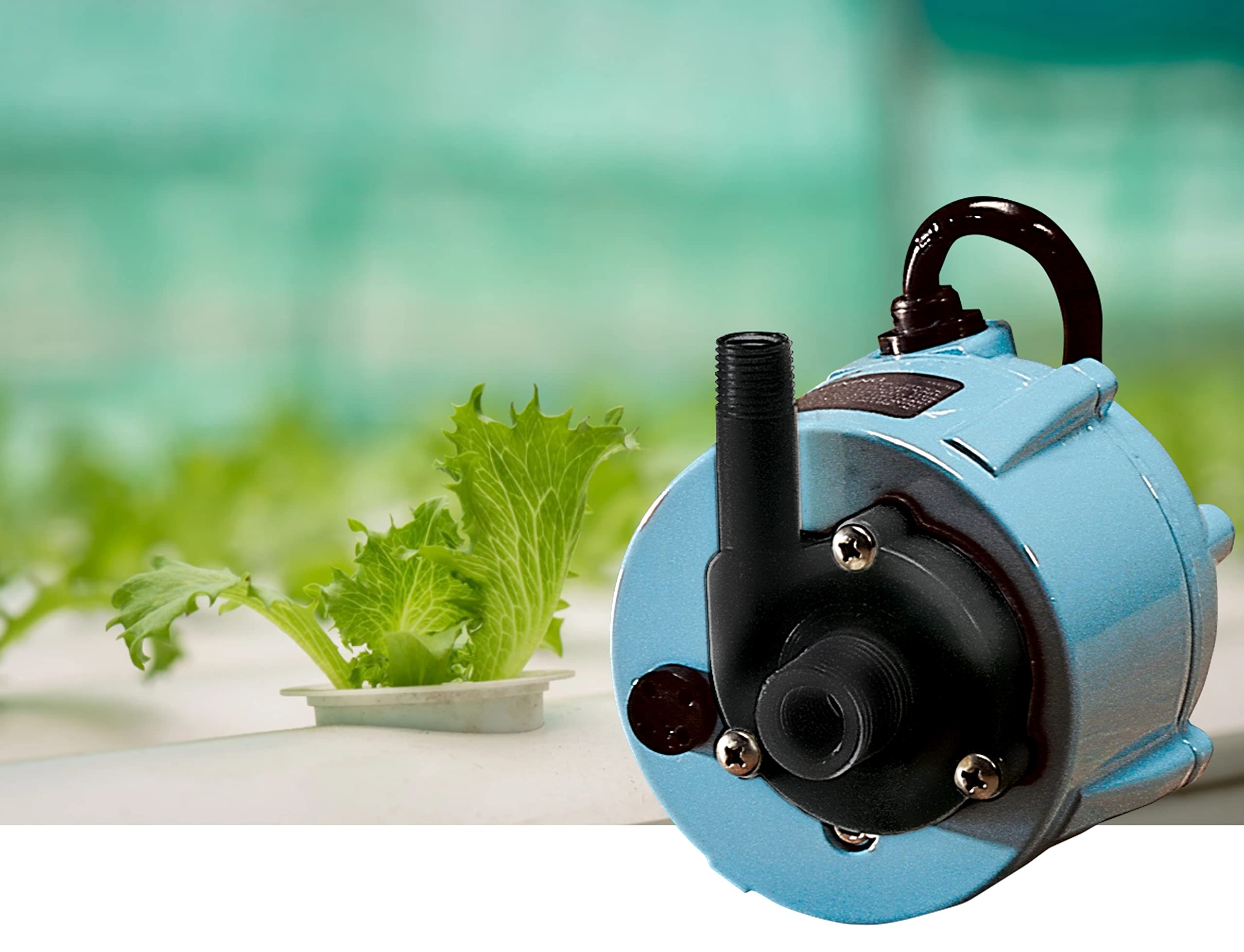 Little Giant 501203 205 GPH 115-Volt Manual Oil-Filled Submersible/Inline Aluminum Direct Drive Pump (Blue) - Ideal for Basement Drainage, Aquariums & Water Features