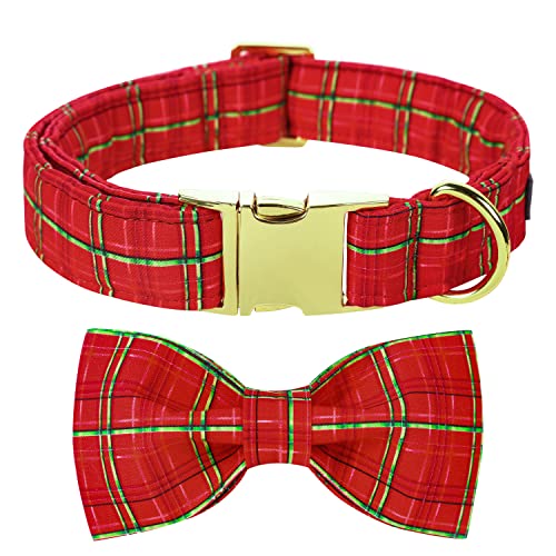 B-gold red grid