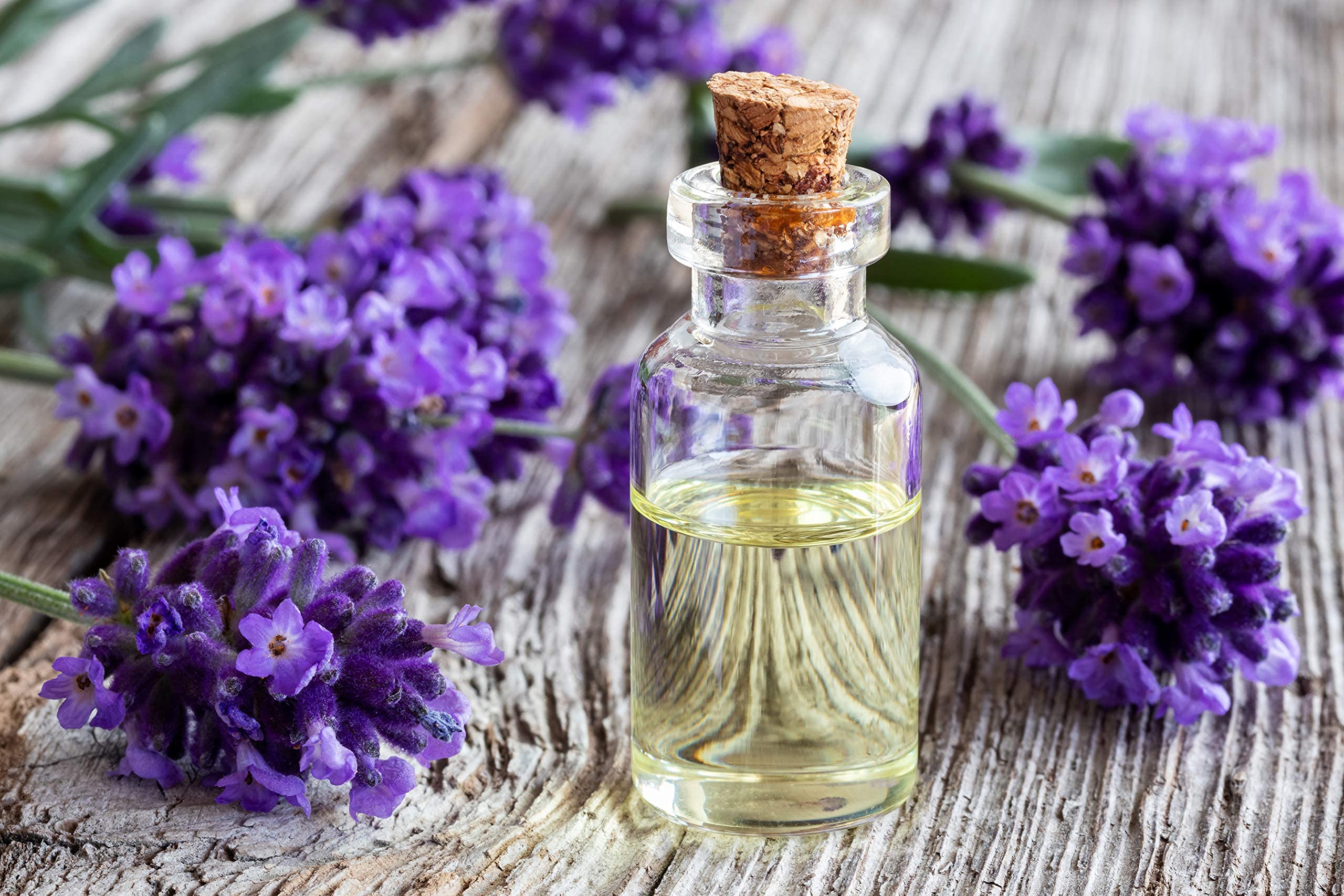 **Lavender Essential Oil Massage Oil Blend - 1 Gallon Bulk Size - Natural Carrier Oil with Golden Jojoba, Argan, Emu & Herbal Extracts - Ayurvedic Deep Tissue Spa Rub for Hot Towel Therapy - Perfect for Relaxation, Aromatherapy & Muscle Pain Relief**