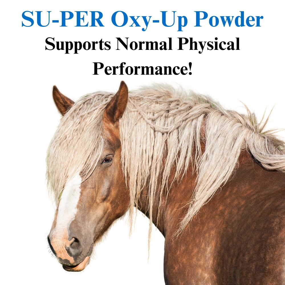 Oxy-Up Performance Horse Supplement for Stamina & Endurance - Wheat Germ Extract, B-Complex Vitamins & Magnesium - 12.5 lb (6 Month Supply) - Ideal for Racing, Training & Show Horses