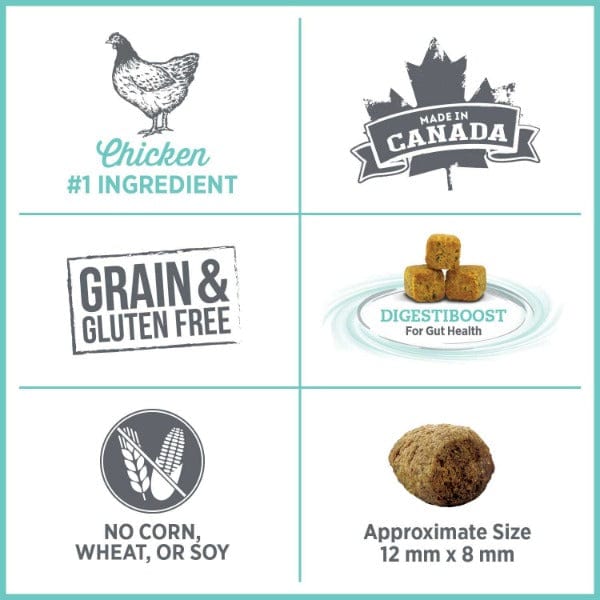 Nutrience Care+ Oral Health Dry Cat Food for Adult Cats - Dental Care & Tartar Control - Premium Kibble for Healthy Teeth & Gums - Perfect for Indoor & Outdoor Cats