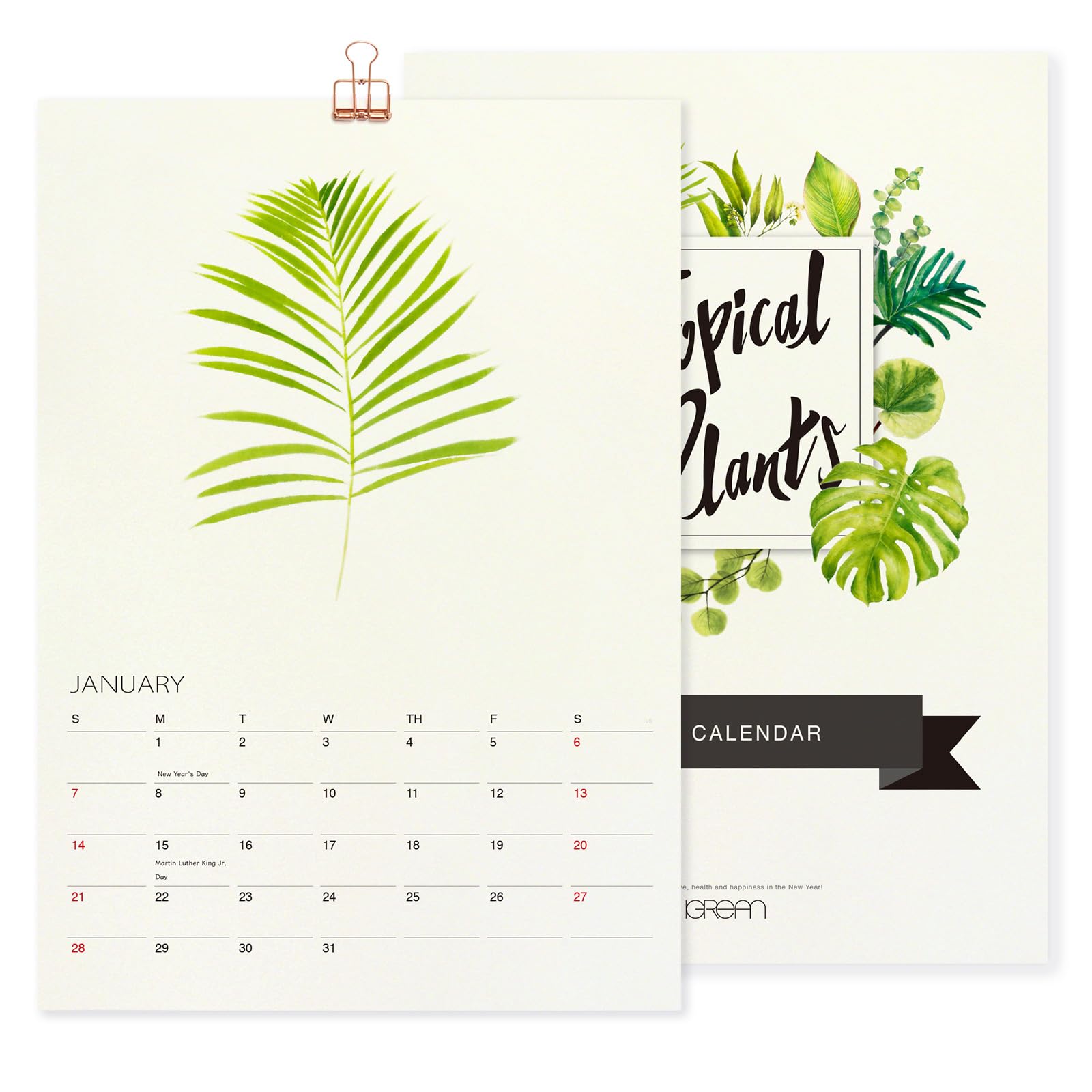2025 Tropical Plant Watercolor Wall Calendar | Botanical Foliage Art Planner | A4 21x29.7cm Christmas Gift for Plant Lovers | Perfect for Home Office Decor & Gardening Enthusiasts