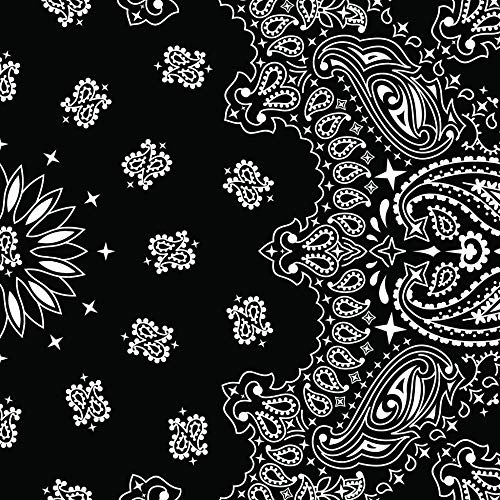 Paisley