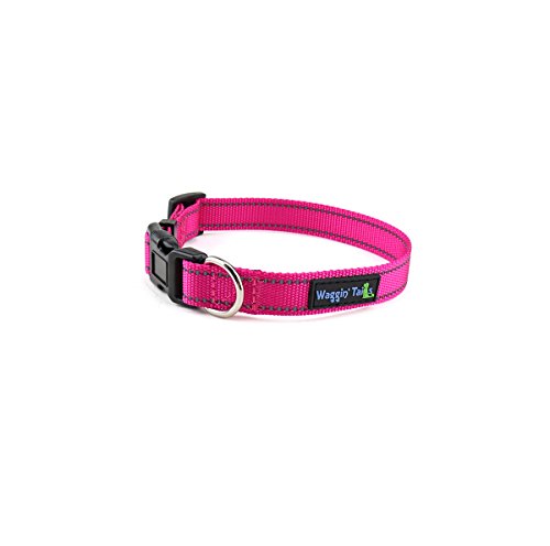 Lively Pink