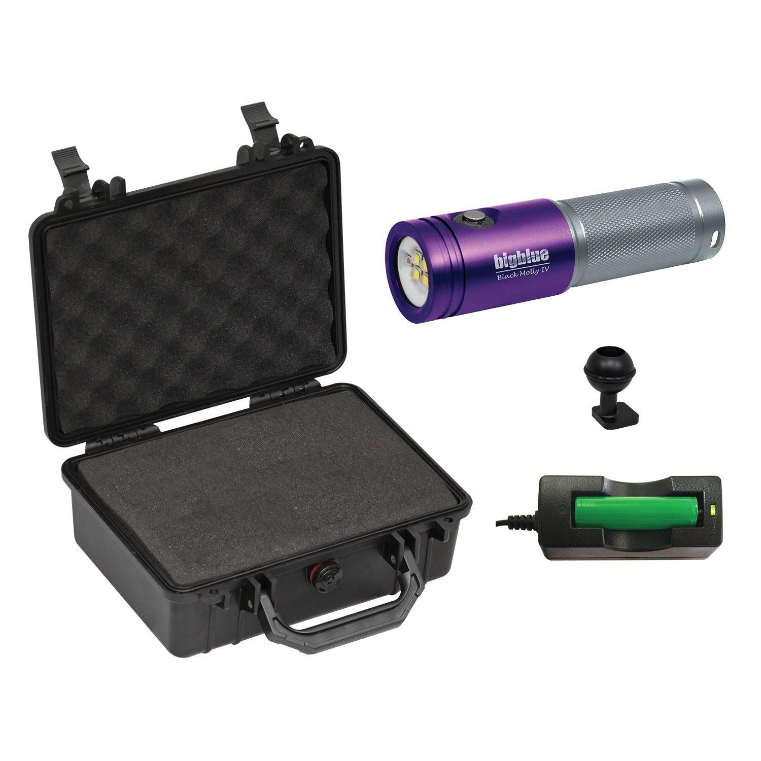 BigBlue AL1800XWP II Purple Solar Charger with Hard Case - Portable Power for Camping, Hiking & Outdoor Adventures