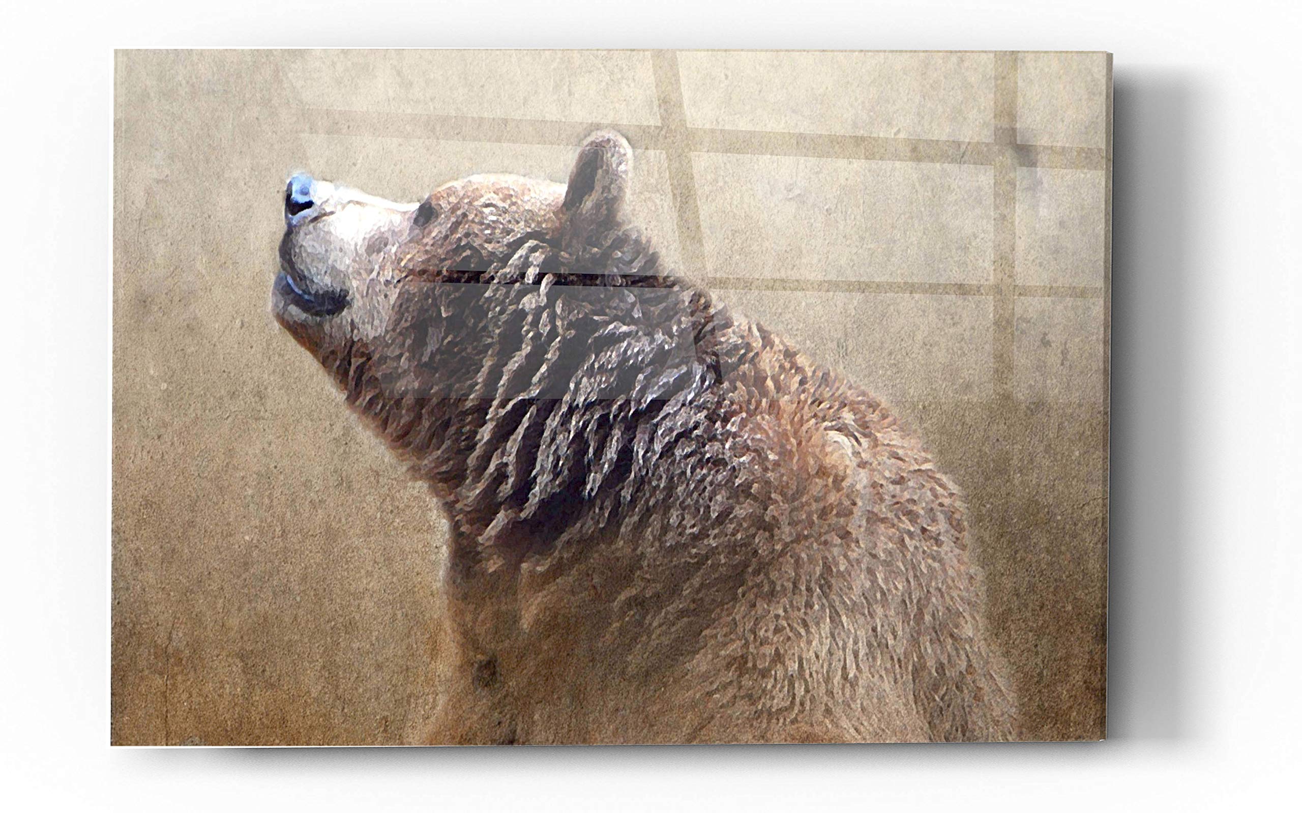 Karen Smith 'Big Bear' Acrylic Glass Wall Art - 24x36 Inches Modern Abstract Painting for Living Room, Bedroom & Office Decor