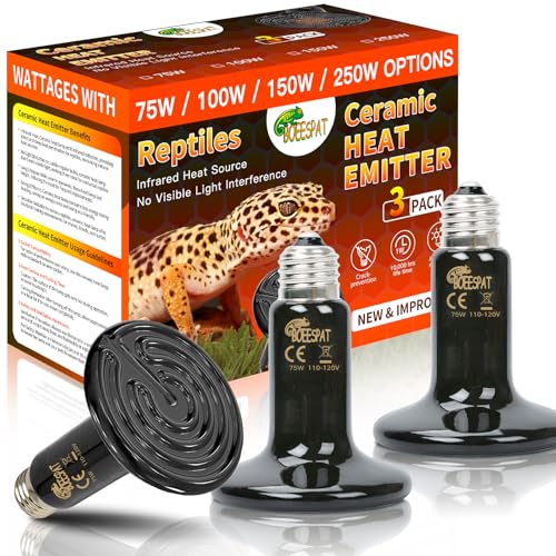 Pack of 3/ Black