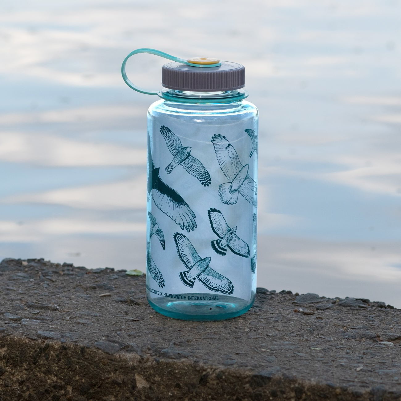 Hawks in Flight Nalgene Water Bottle 32oz - BPA-Free Leakproof Wide Mouth Water Bottle for Hiking, Camping & Outdoor Activities - Seafoam Green