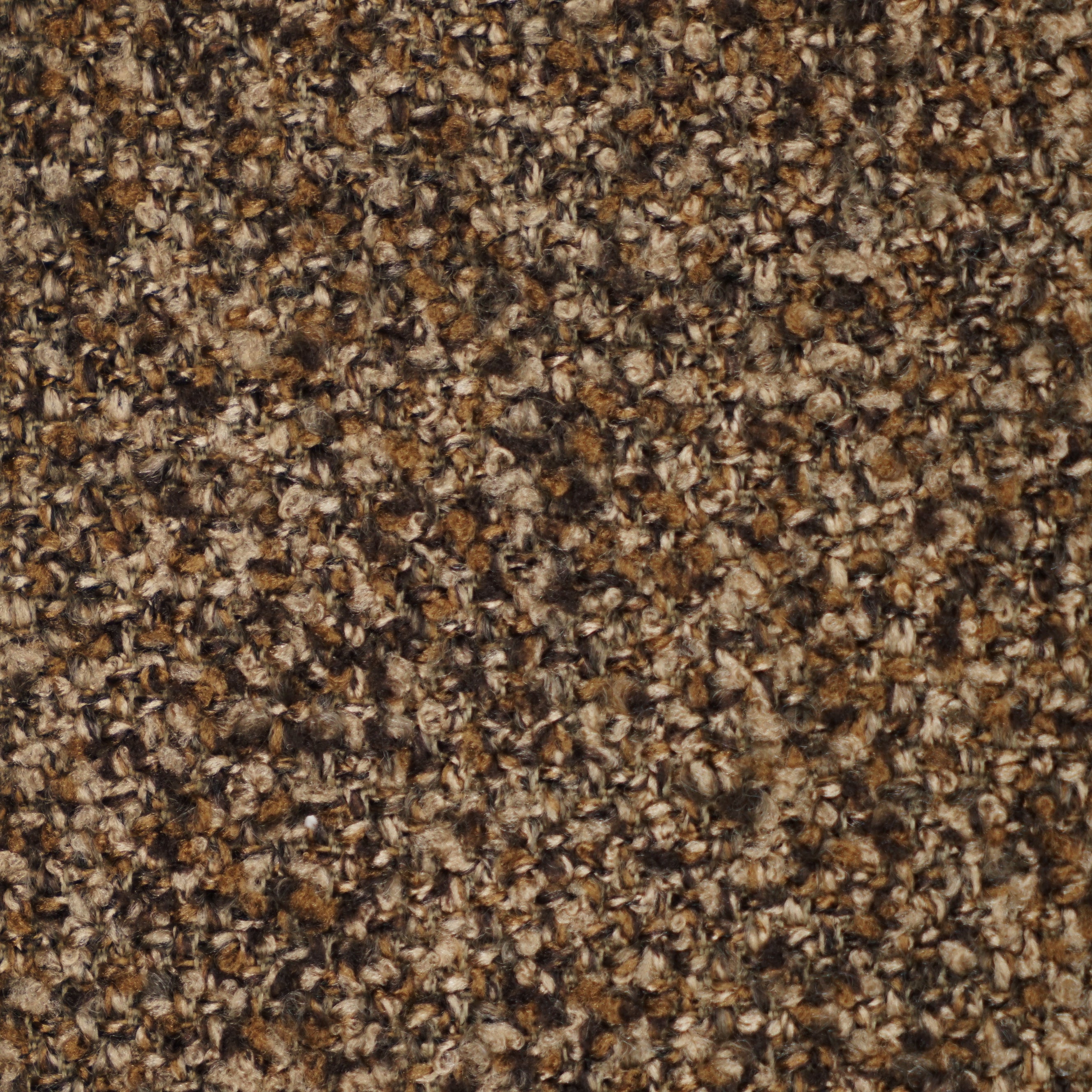 Ladybird 72