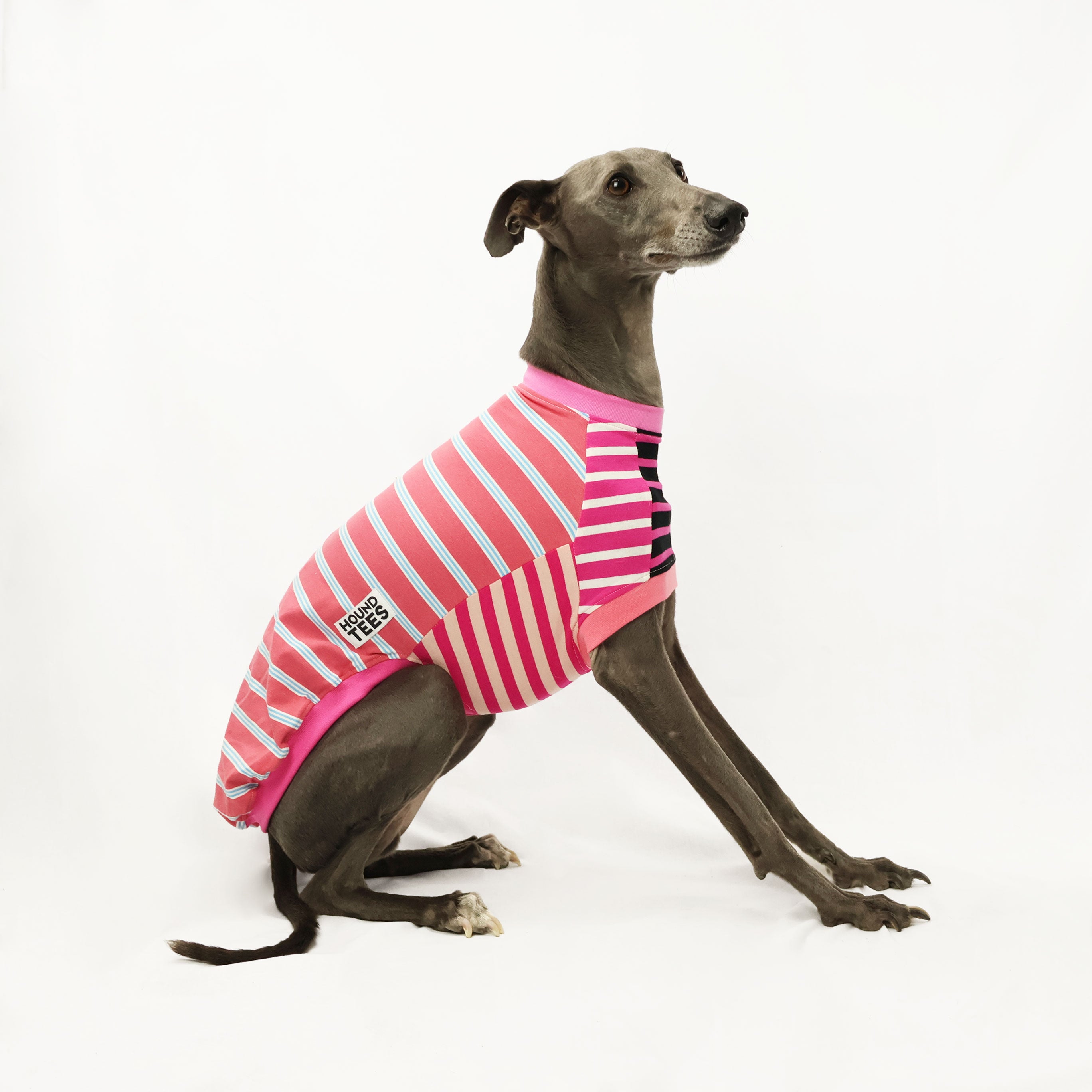 Frankie Pinkie Sleeveless Whippet Hound Graphic T-Shirt for Women - Soft Cotton Dog Lover Tee - Casual Summer Top for Dog Walks & Pet Lovers Outfits