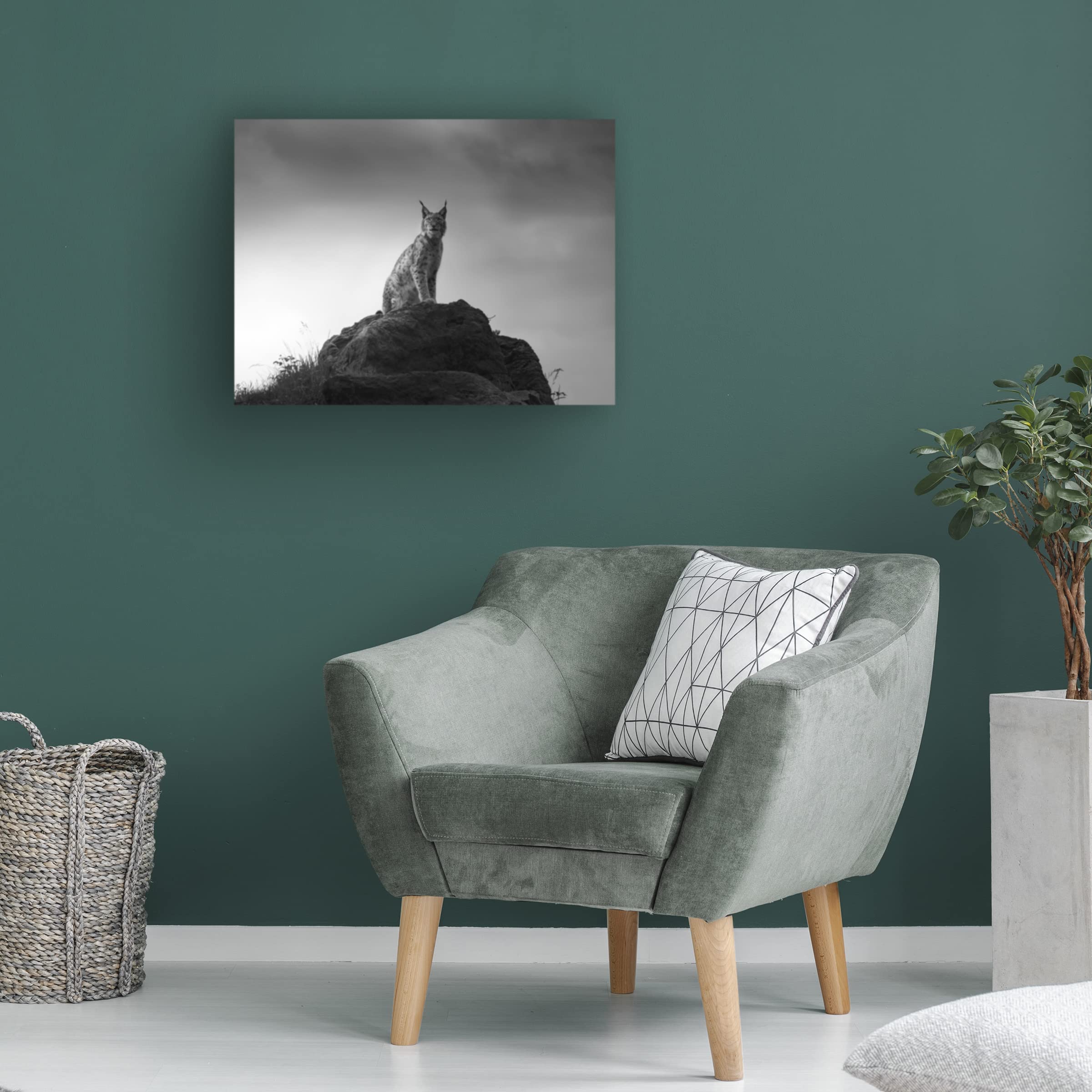 Trademark Fine Art 'Lynx Drama' Canvas Wall Art by Sergio Saavedra Ruiz - Stunning Wildlife Painting for Living Room, Bedroom & Office Decor
