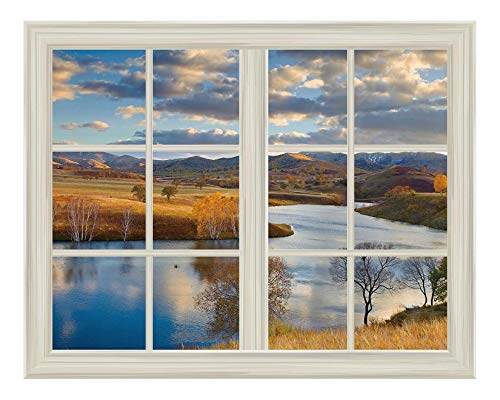 Open Field Landscape