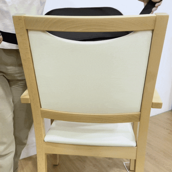 CarePlus Lumbar Back Support Cushion - Ergonomic Memory Foam Pillow for Office Chair, Car Seat & Home Use - Relieves Lower Back Pain & Improves Posture - Perfect for Work, Driving & Relaxation
