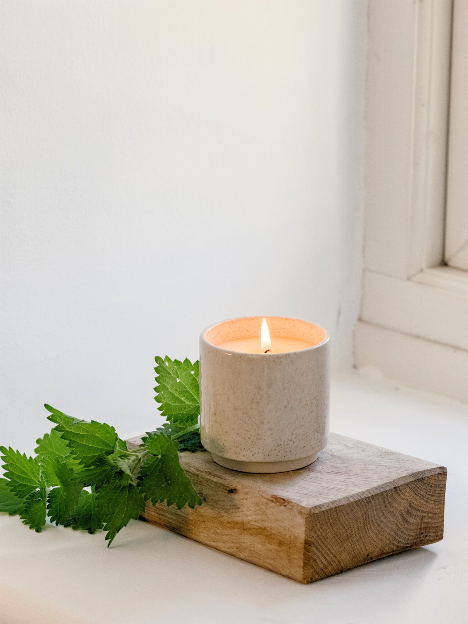 St Eval Sand Dune Candle Pot - Bergamot & Nettle Scented Candle for Home Decor, Relaxation & Aromatherapy | Perfect for Living Room, Bedroom & Bathroom