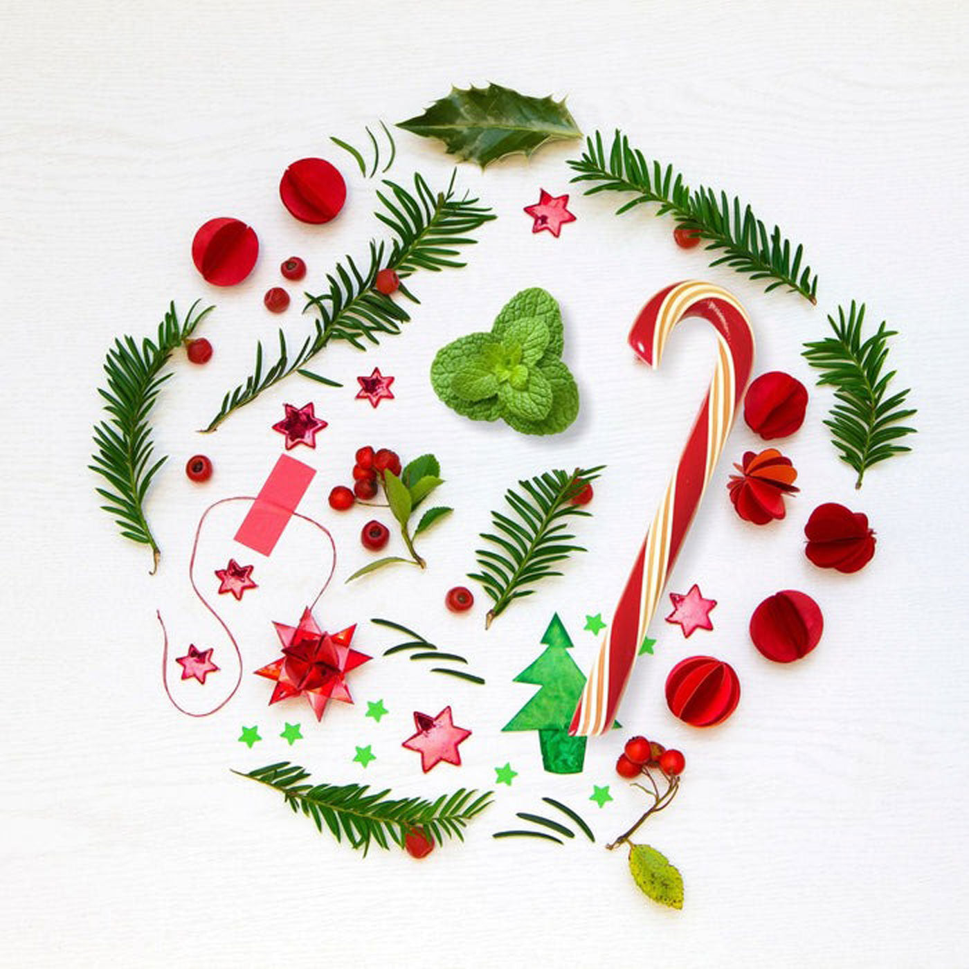 Delicious Candy Canes 1.75oz (50g) - Classic Peppermint Holiday Treats for Christmas Stockings, Party Favors & Festive Decorations