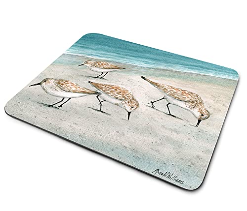 Seagulls on Beach