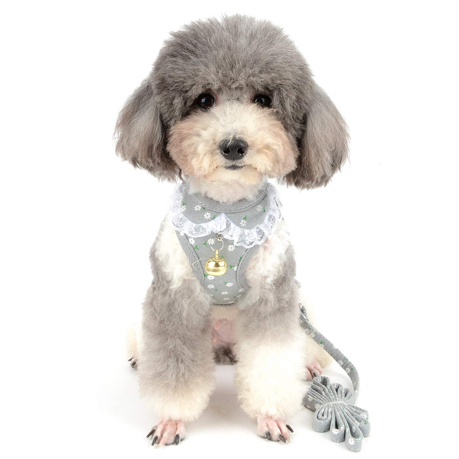 Escape-Proof Small Dog Vest Harness & Leash Set - Soft Mesh Padded Adjustable Puppy Summer Clothes with Lace Trim Collar Bell (Grey Flowers, Small) - Perfect for Walking, Training, and Outdoor Adventures with Your Kitten or Cat