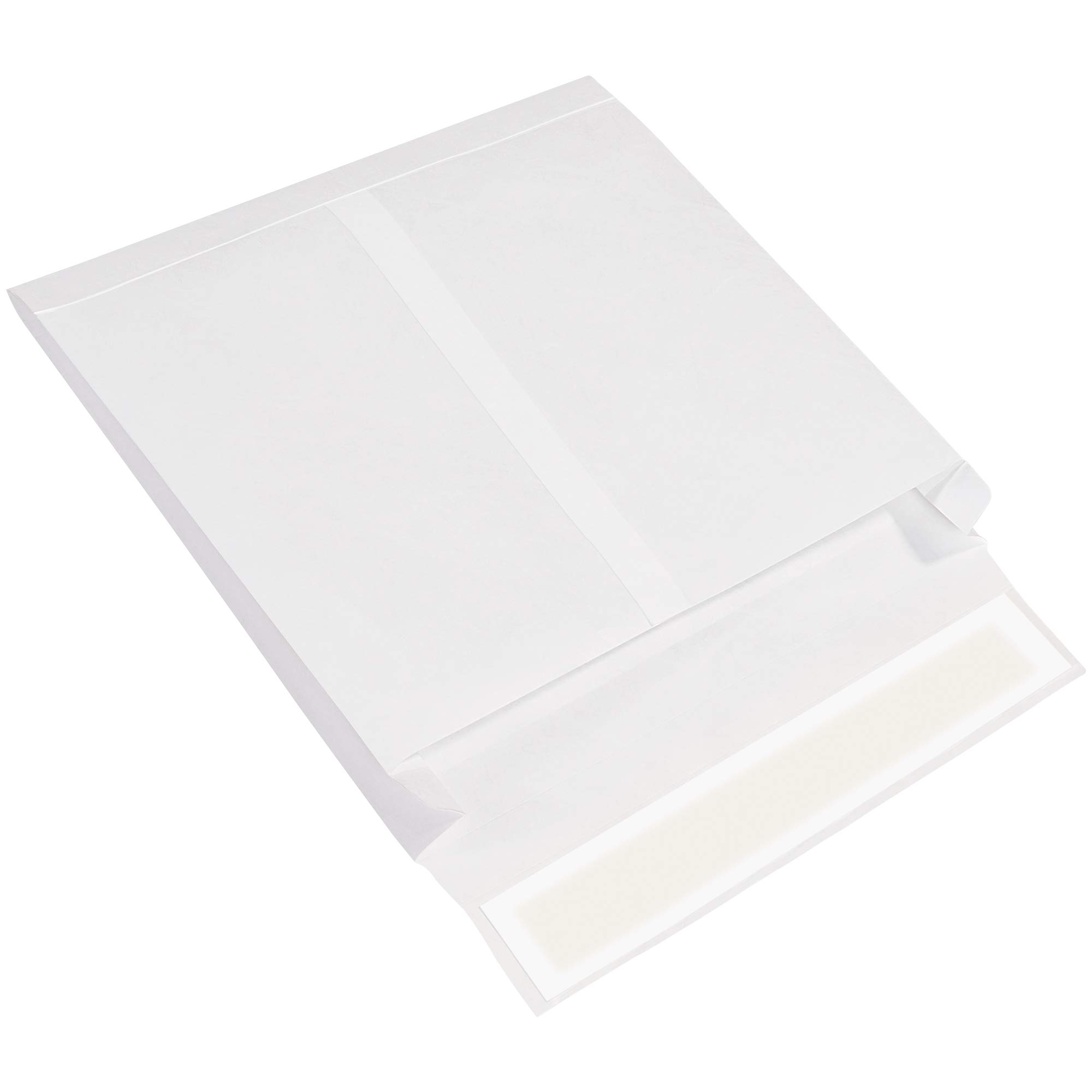 **Discount Shipping USA Tyvek® Expandable Envelopes 10