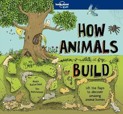 Lonely Planet Kids - How Animals Build Lift-The-Flap Book by Moira Butterfield & Tim Hutchinson | Hardcover Educational Children's Book | Perfect for Bedtime Stories & Classroom Learning