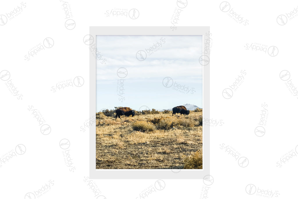 Desert Buffalo Wall Art Digital Download - Printable Western Decor for Home & Office - Perfect for Living Room, Bedroom or Cabin Decor