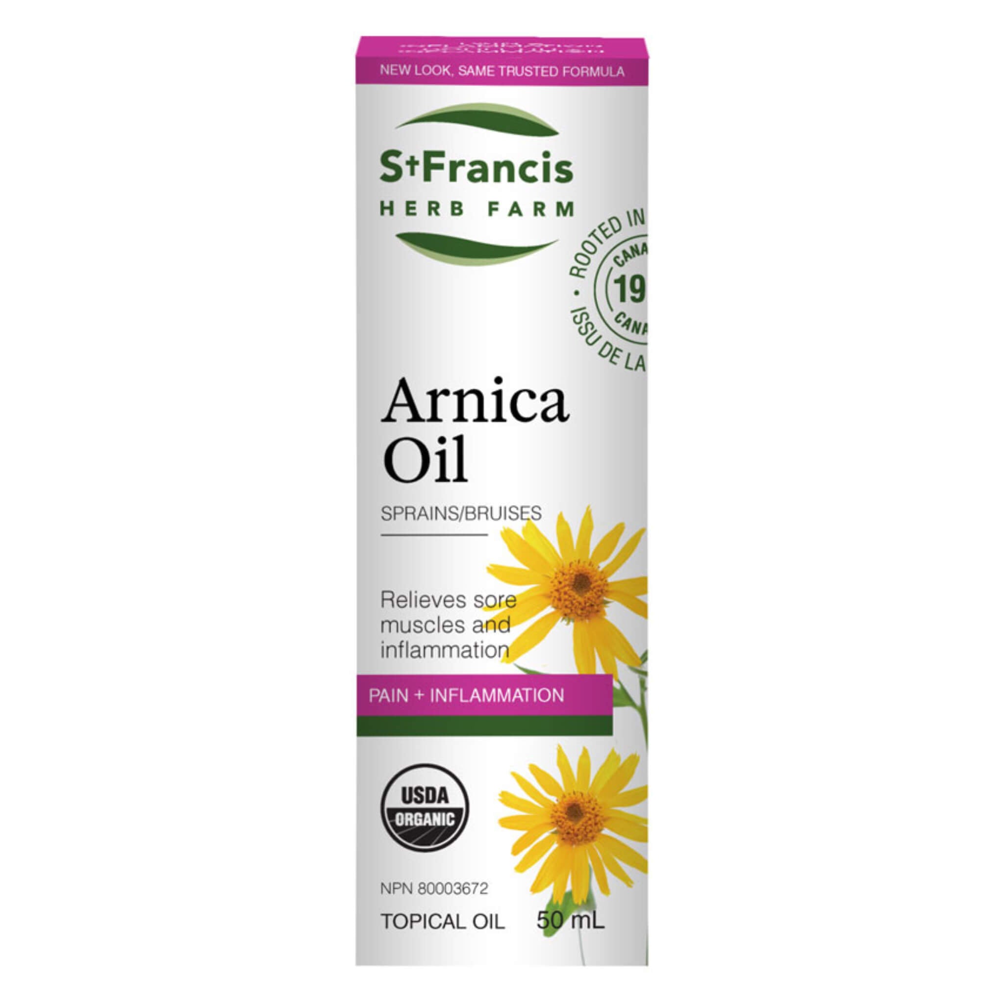 Arnica Oil for Bumps & Bruises - Natural Pain Relief & Healing Solution - Perfect for Muscle Soreness, Sports Injuries & Post-Workout Recovery